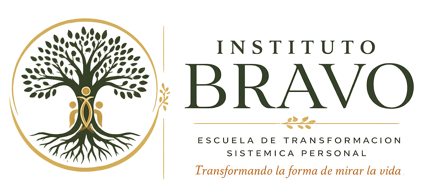 Instituto BRAVO