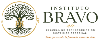 Instituto BRAVO